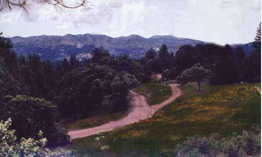 A view of the property on the Mendocino highlands.